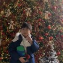 여행+아이생일 여행 (춘천 레고랜드호텔, 춘천 올데이스테이 , 춘천 애니메이션박물관, 춘천 토이로봇관)