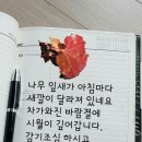 섬마을해물칼국수 - 천안시 서북구 백석5길 36 | 섬마을해물칼국수