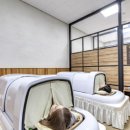 동해무릉건강숲 이미지