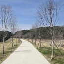 기차바람길공원 이미지