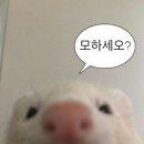 성동구 재활용센터 | 숭인 스포츠 센터에서 하는 일요 주말 훈련! 성동구민체육센터 수영 동호회 "나인틴"을 곁들인