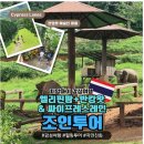 아이와 단둘이 치앙마이 여행 8일차(엘리핀팜카페/싸이프레스레인/반캉왓/징짜이마켓/선데이마켓)