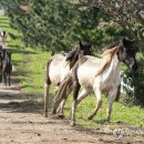 국립축산과학원 난지축산연구소 이미지