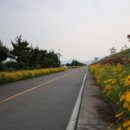 버스정류장 05-110 이미지