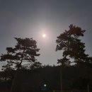 고창잔디민박