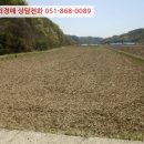 미천면-9 이미지