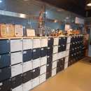 용인대SH복싱 이미지