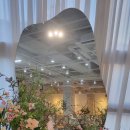 팜앤키친라비브 이미지