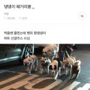 앙끼들아 너네 문단 엔터 아니고 이런 엔터도 ㅇㅅ라고 의심해? 이미지