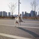 개신남 이미지