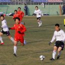 남해스포츠파크 인조구장 축구장 이미지