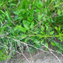 홀뫼민박 이미지