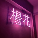 당산마을 화장실 | 신선한 해산물 포차 당산역술집 양화포차