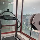 ATP GYM 이미지