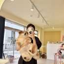 사랑미용실 네이버블로그