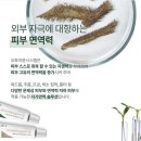 살롱드스킨(Salon de Skin)
