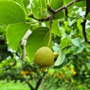 박석캠핑장 이미지