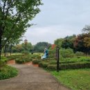 몽마르뜨 이미지