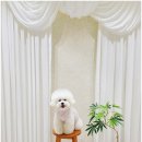 광안사계스테이 이미지