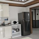 피어나는 생명 이미지