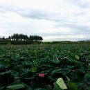 평사리공원 이미지