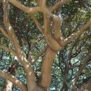 남해-299 이미지