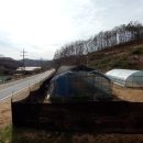 양지 농장2 이미지