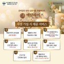 365장례토탈의전