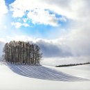 1월8일(4박5일) 홋가이도(북해도), 후라노 비에이 겨울여행 이미지
