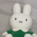 예체로(2-1) 이미지