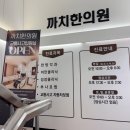 운동 없이 살빼는 한약 다이어트 (까치한의원)