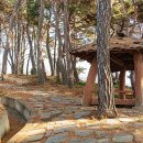 숲속의 행복마을 이미지