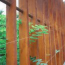 탄허기념박물관 이미지