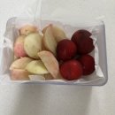 봉화김농부네사과 | 10. 7월 다이어리 -1