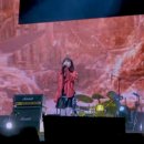 카디인터내셔널 이미지