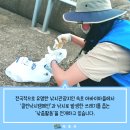 청호낚시