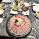 자갈치역 | 자갈치역맛집 추천, 한월횟집 방문했던 솔직 후기