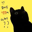 임자네,묭실 | 부…활,,,