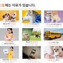 놀러오개 애견유치원 애견호텔 수원세류점 이미지