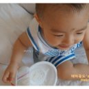 호야목장 네이버블로그