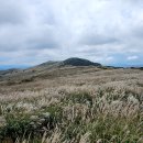 황매산 억새산행및 신소양체육공원 핑크뮬리(10월9일) 이미지