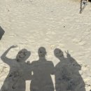 안나커피 이미지