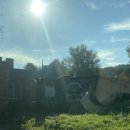 새신한목장 이미지