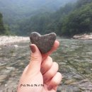 명지농원 이미지