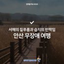 (주)상록엘리베이터 이미지