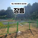 덕진-84 | 장흥휀스 펜스 - “멧돼지랑 경계선 싸움 끝!” 장흥휀스 제대로 시공한 후기🔥