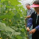 보통2리 마을회관 이미지