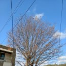 신당마을회관 이미지