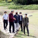 하동 태양광발전소 이미지