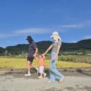 세븐일레븐 완도소안도점 | [완도/소안도] 완도 여행- 한적한 국내 섬여행 추천, 소안도 아이랑 힐링 투어